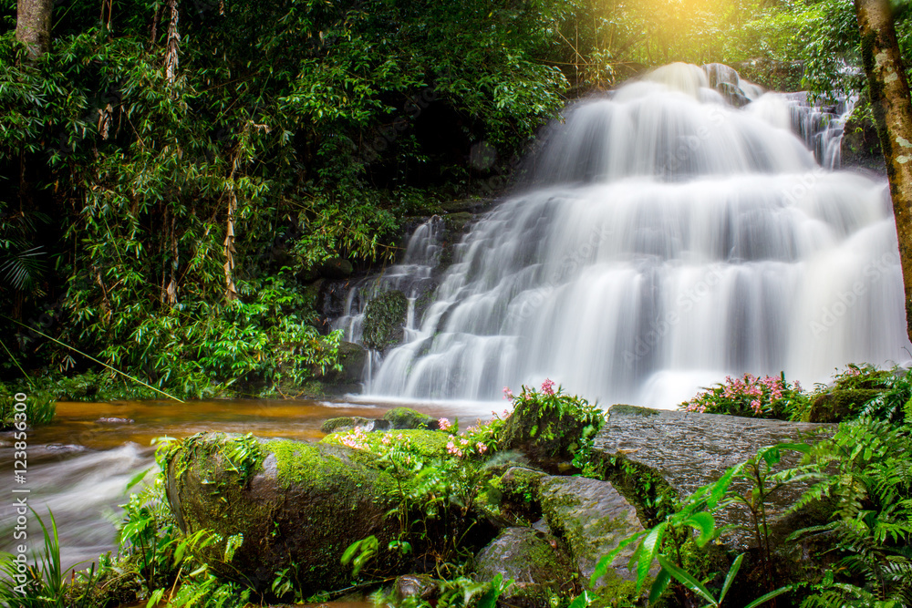 Mun Dang Waterfall in deep forest fresh green rain season in Tha Mun Dang Waterfall in deep forest fresh green rain season in Tha