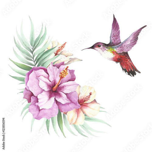 The image of tropical flowers leaves and hummingbirds . Watercolor illustration.