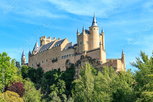The famous Alcazar of Segovia