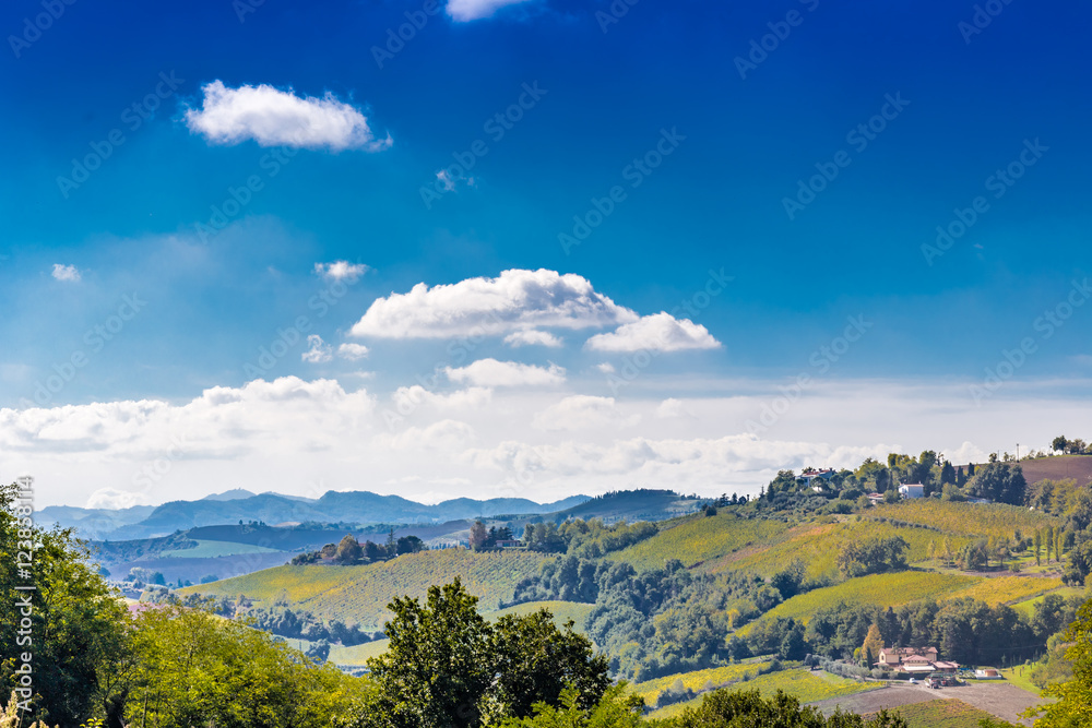 agricultural landscape, farm fields on hill