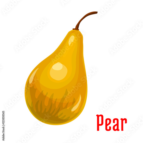 Pear fruit isolated cartoon icon for food design