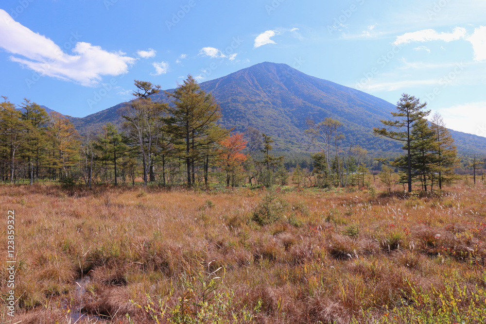 奥日光　戦場ヶ原と男体山