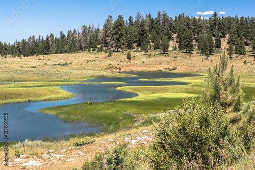 Landscape around Duck Creek, Utah 
