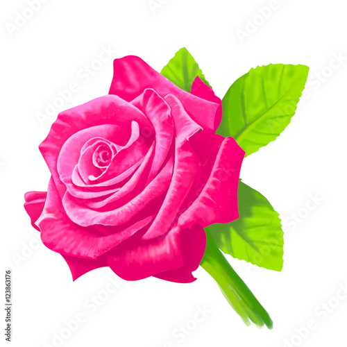 Rose