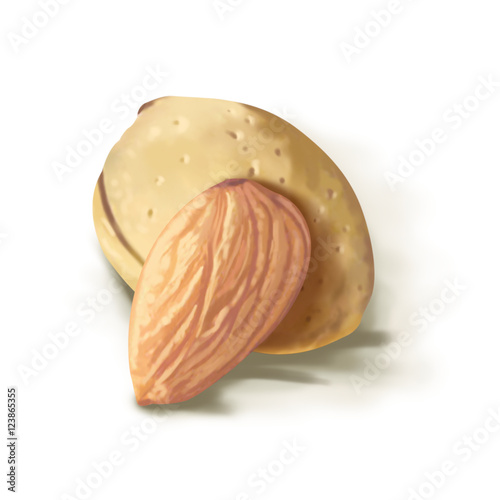 Almond