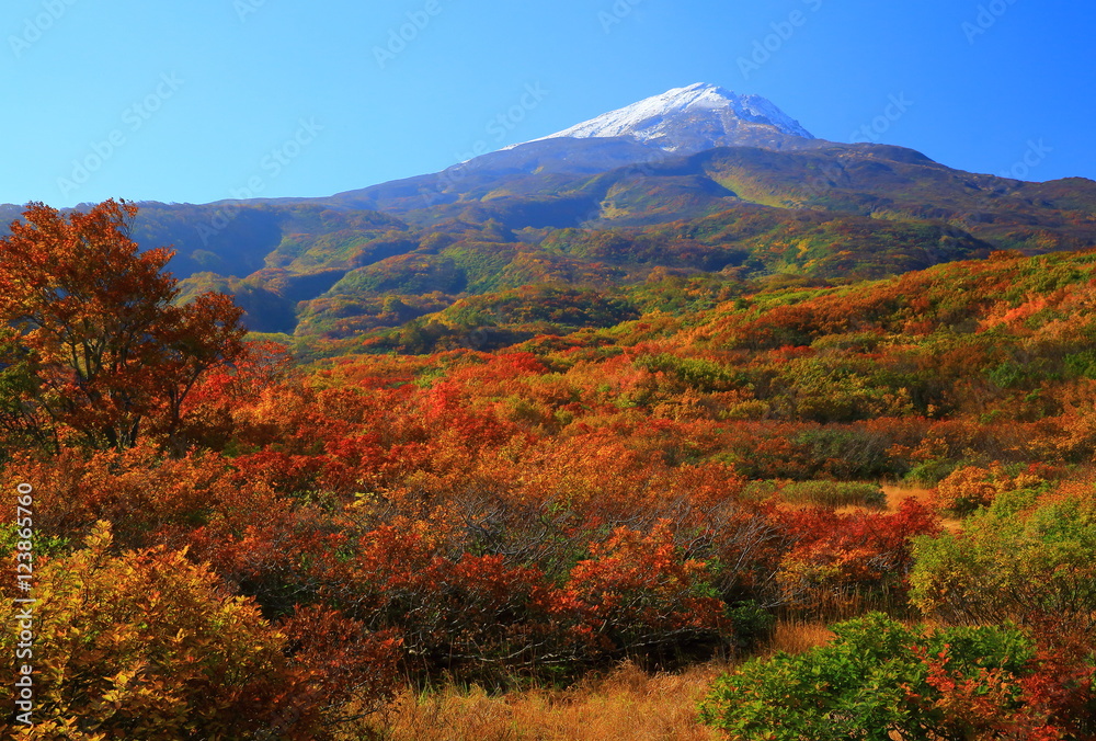 秋田県　紅葉の竜ヶ原湿原