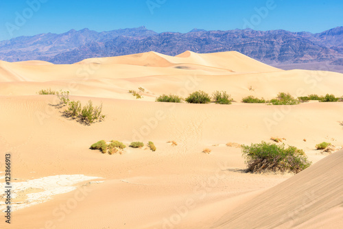 Fototapeta Naklejka Na Ścianę i Meble -  Sand dunes in Death Valley, California