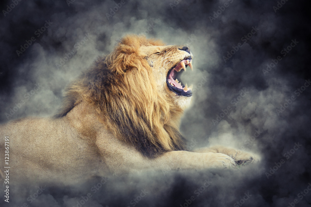 Photo & Art Print Lion in smoke on dark background