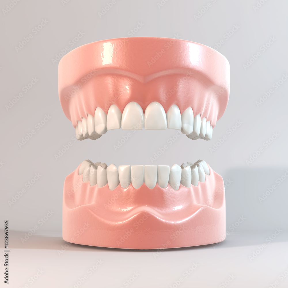 Obraz premium 歯のCG
