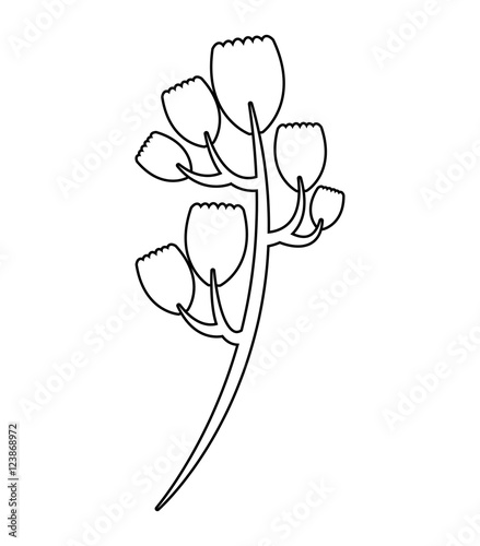 flower plant decoration isolated icon vector illustration design