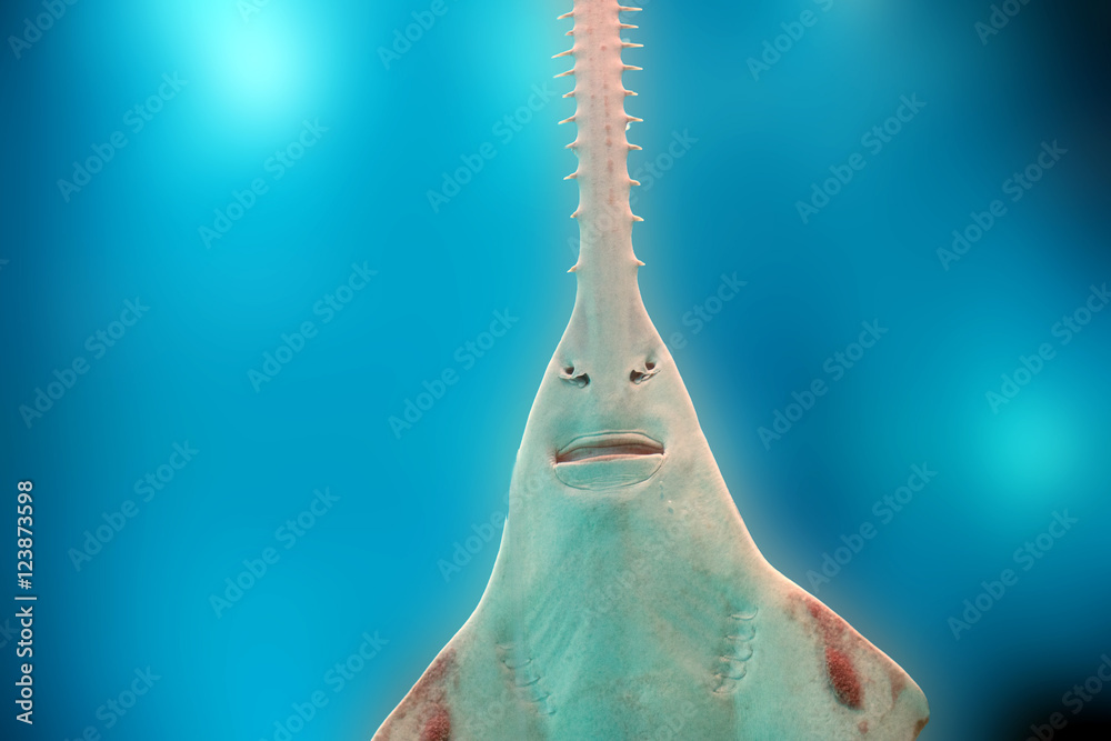 Naklejka premium sawfish underwater close up detail