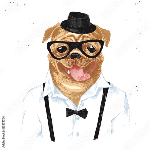 Hand drawn dressed up pug in hipster style