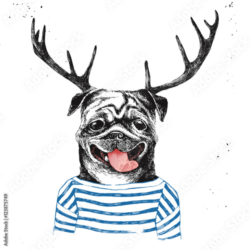 Hand drawn dressed up pug in hipster style
