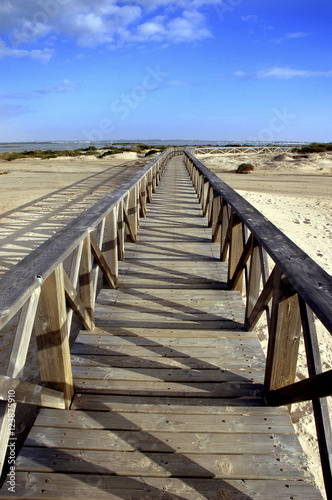 Puente de madera en perspectiva.