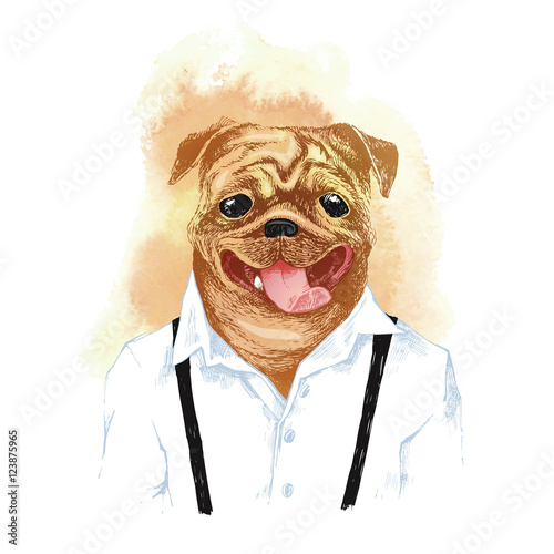 Hand drawn dressed up pug in hipster style