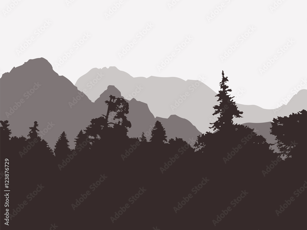 Fototapeta premium Panoramic view of the forest and mountains