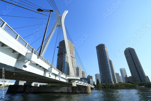 隅田川に架かる中央大橋と高層マンション群