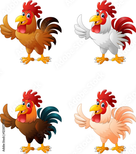 Cartoon funny rooster giving thumb up collection set

