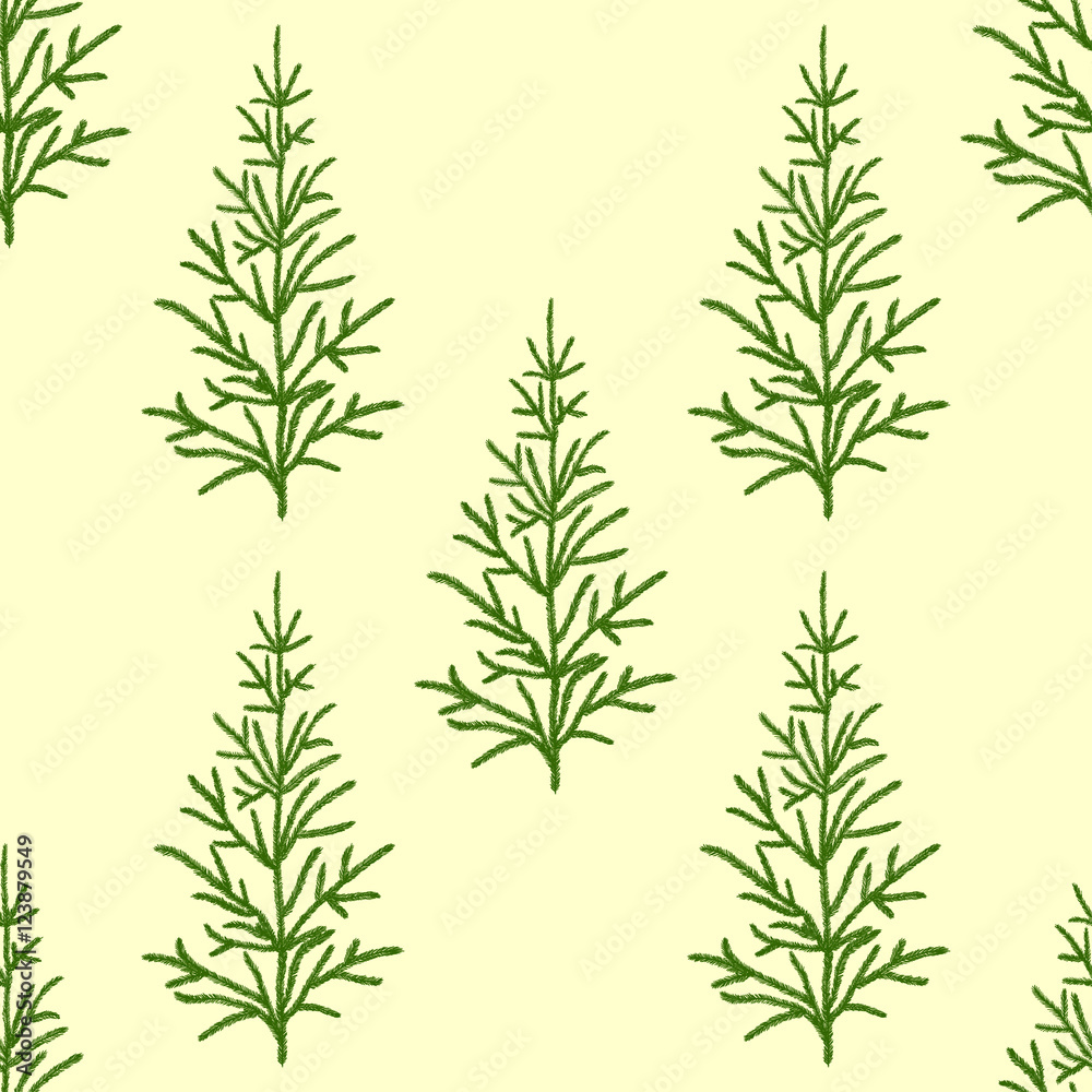 Fir trees seamless pattern Fir trees seamless pattern