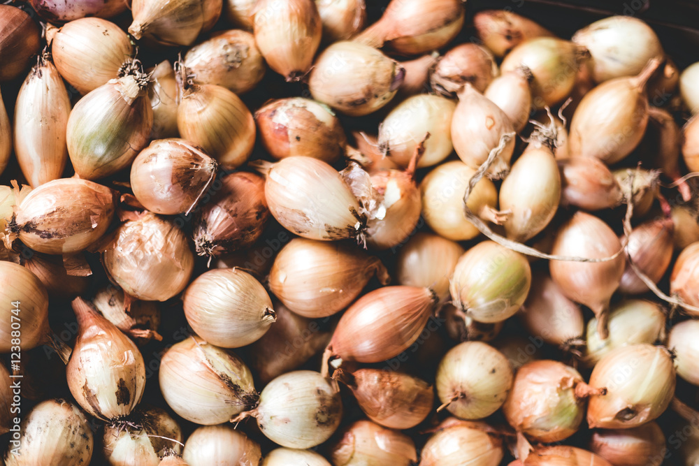 lot of onion, food background at market lot of onion, food background at market