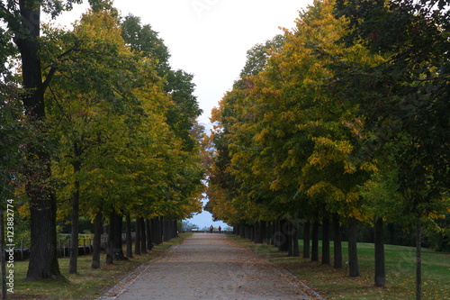 Parco in Autunno