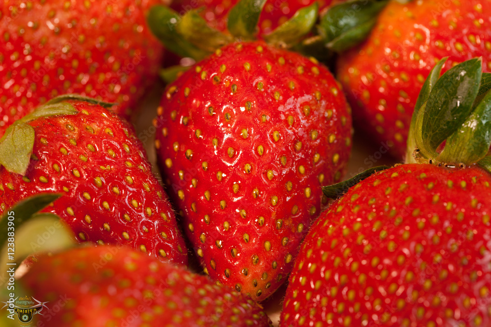 background from freshly harvested strawberries background from freshly harvested strawberries