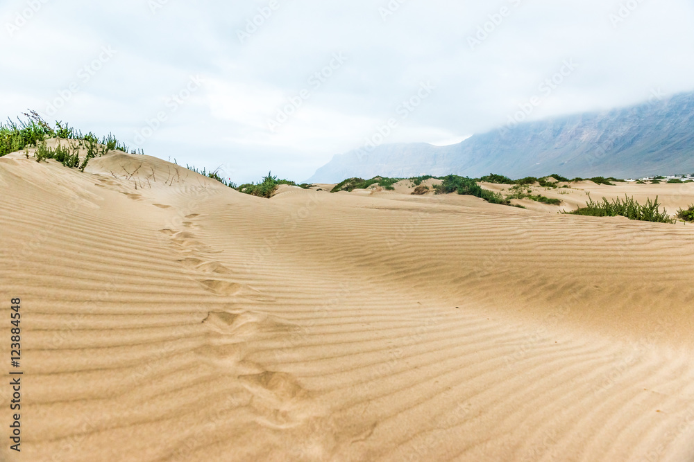 beautiful view of golden sand in Lanzarote dune, Canary Island