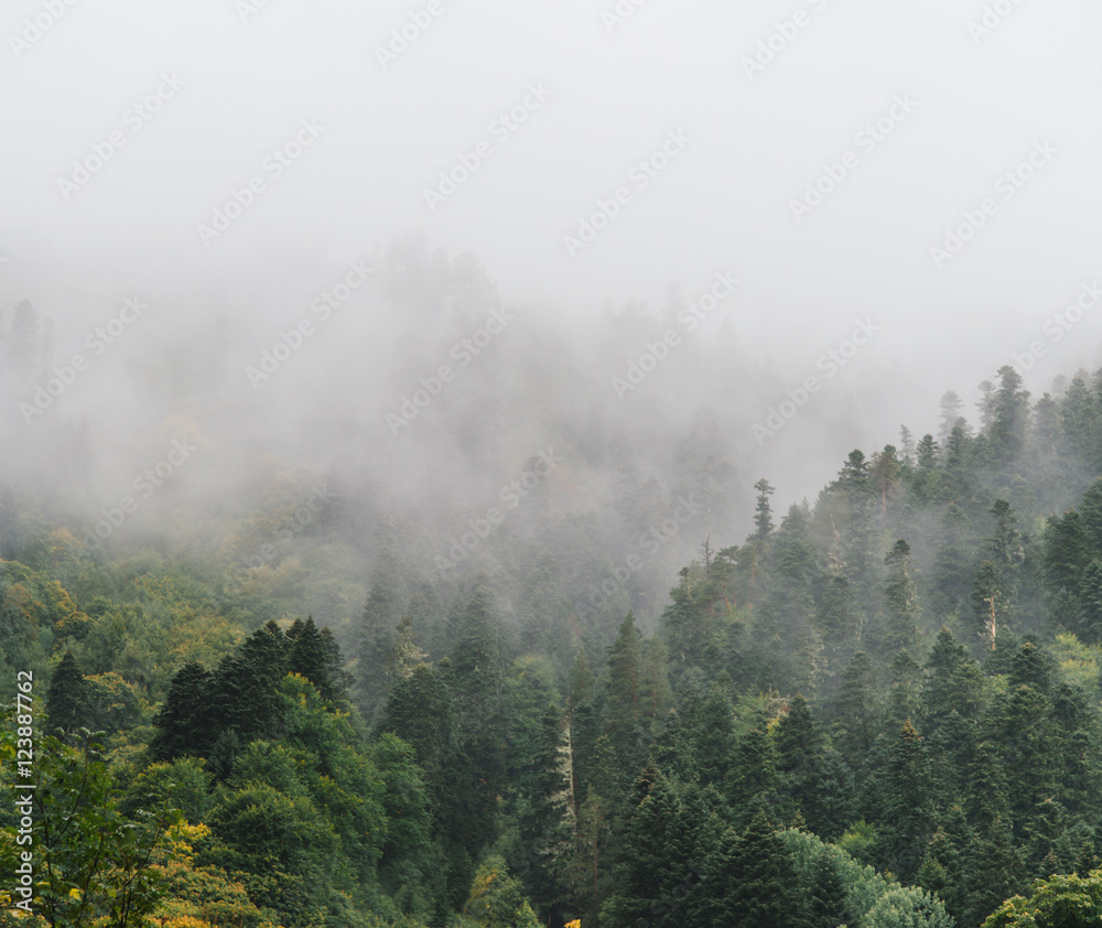 Obraz Mgła w górach