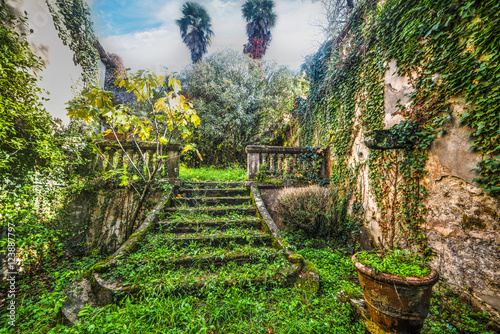 Slika na platnu green abandoned garden in Tuscany