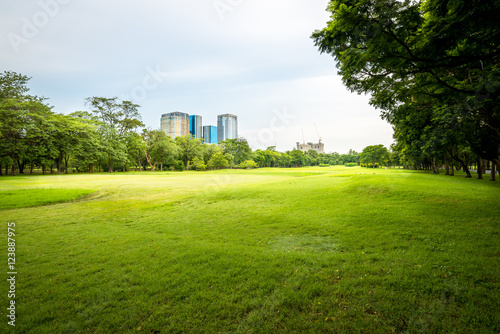 Public park landscape