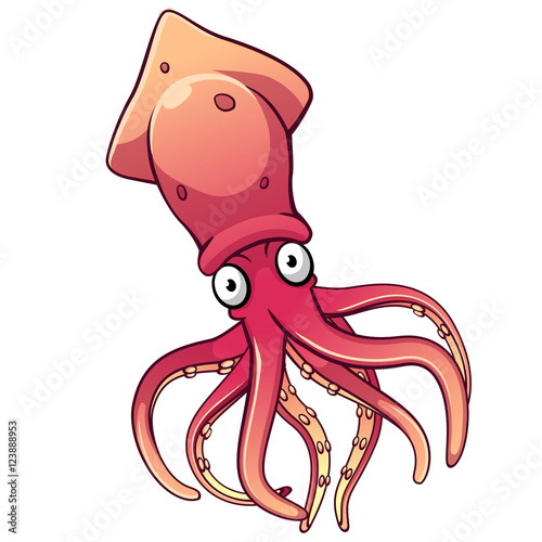 Squid cartoon photo
