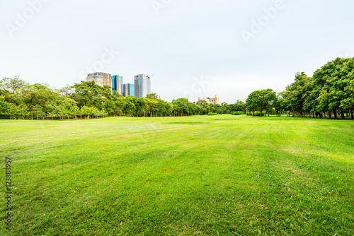 Public park landscape
