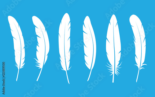 Feathers set on blue background