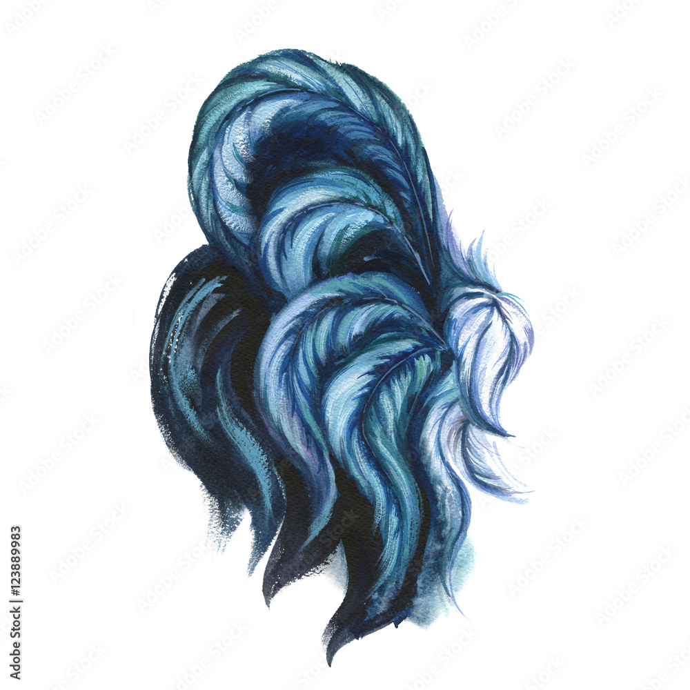 Watercolor rooster illustration. Blue rooster tail. Chinese New Year of the rooster. Hand drawn painted isolated on white background. Rustic bird cock. Watercolor rooster illustration. Blue rooster tail. Chinese New Year of the rooster. Hand drawn painted isolated on white background. Rustic bird cock.