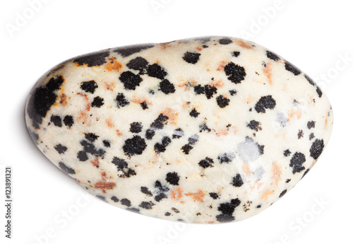 Dalmatian jasper stone isolated on white with clipping path