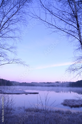 Nebel am See