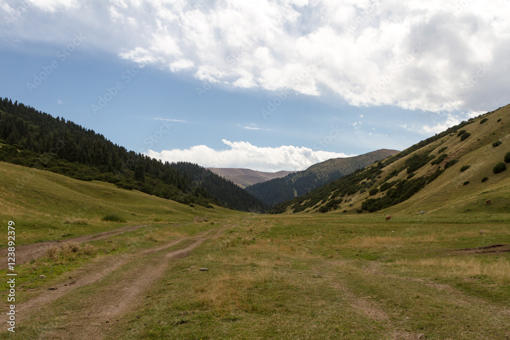 Valley in the mountains