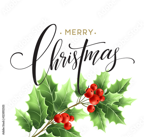 Merry Christmas lettering card with holly. Vector illustration © vik_y