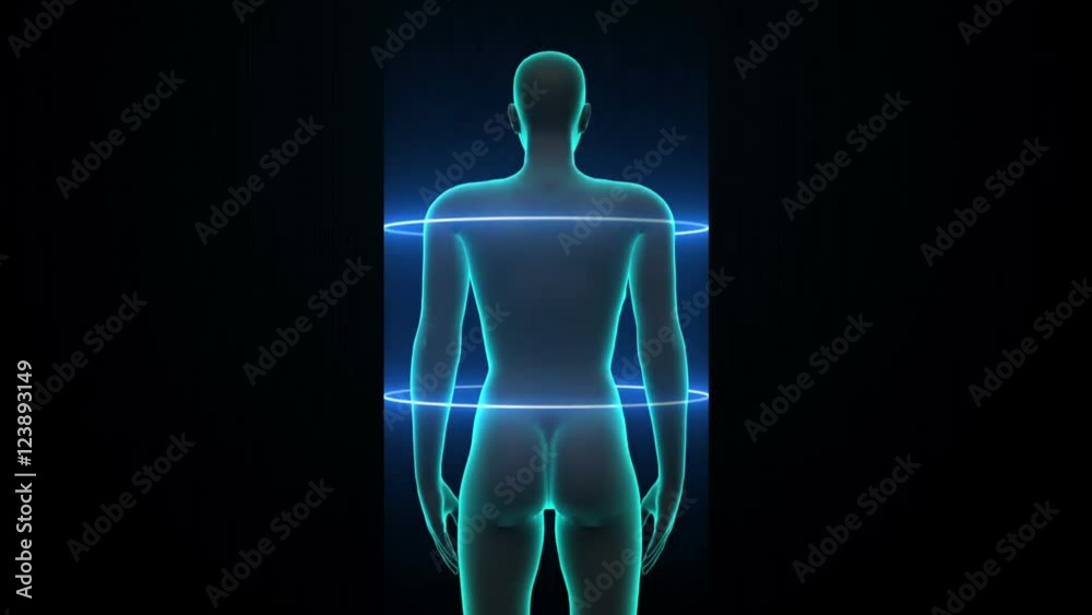 Zooming female Human body scanning internal organs, Digestion system.Blue X-ray light. HD. Zooming female Human body scanning internal organs, Digestion system.Blue X-ray light. HD.