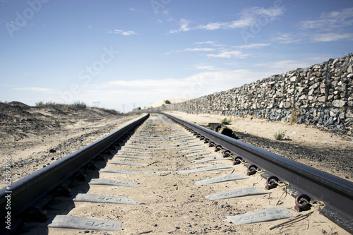 Samalayuca Desert photo