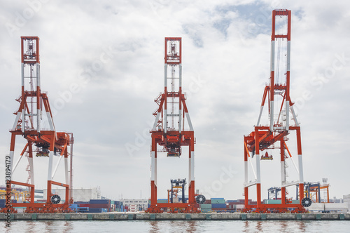 Crane in Harbor of Osaka city, Japan