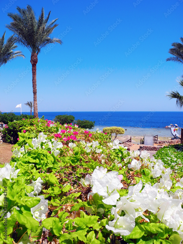 Resort in Sharm El Sheikh.