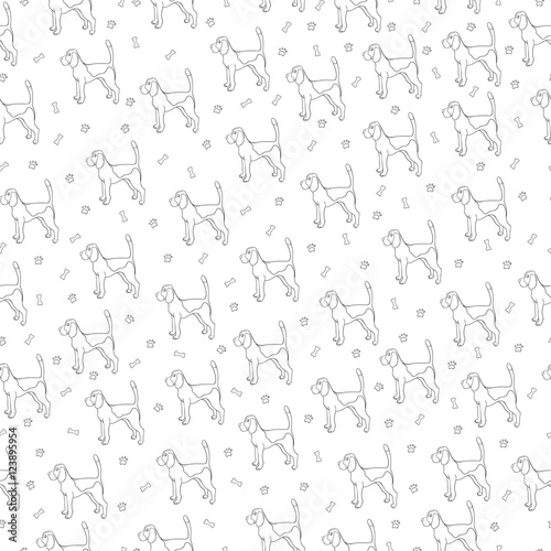 Seamless pattern with cute dog. Breed beagle.