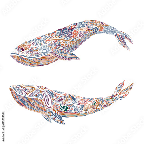 Large multicolored whale on a blue water background. An adult painted by hand in the art of different strokes, curls. zentangle style. Vector. The sad . Most sea, ocean fish, mammals.