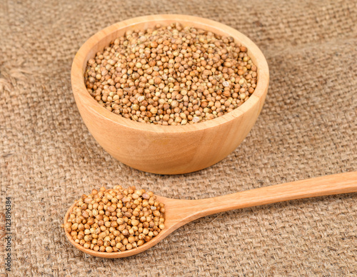 coriander seed in wooden bowl and spoon on hemp sack background