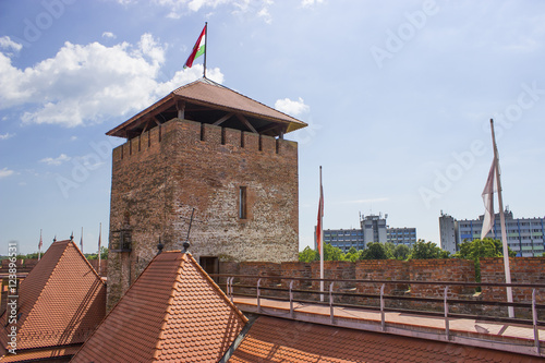 Castle of Gyula