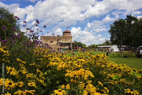 Castle of Gyula