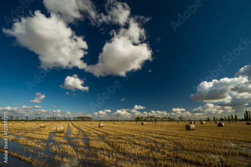Campagna