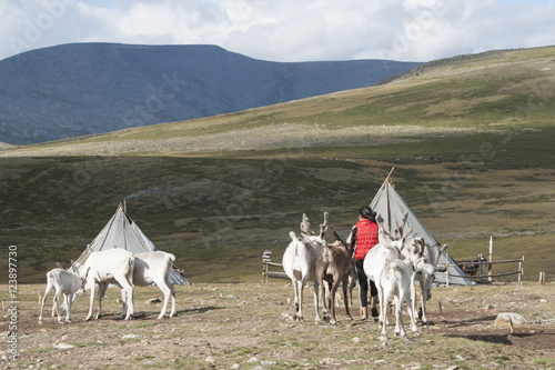 タイガでの暮らし