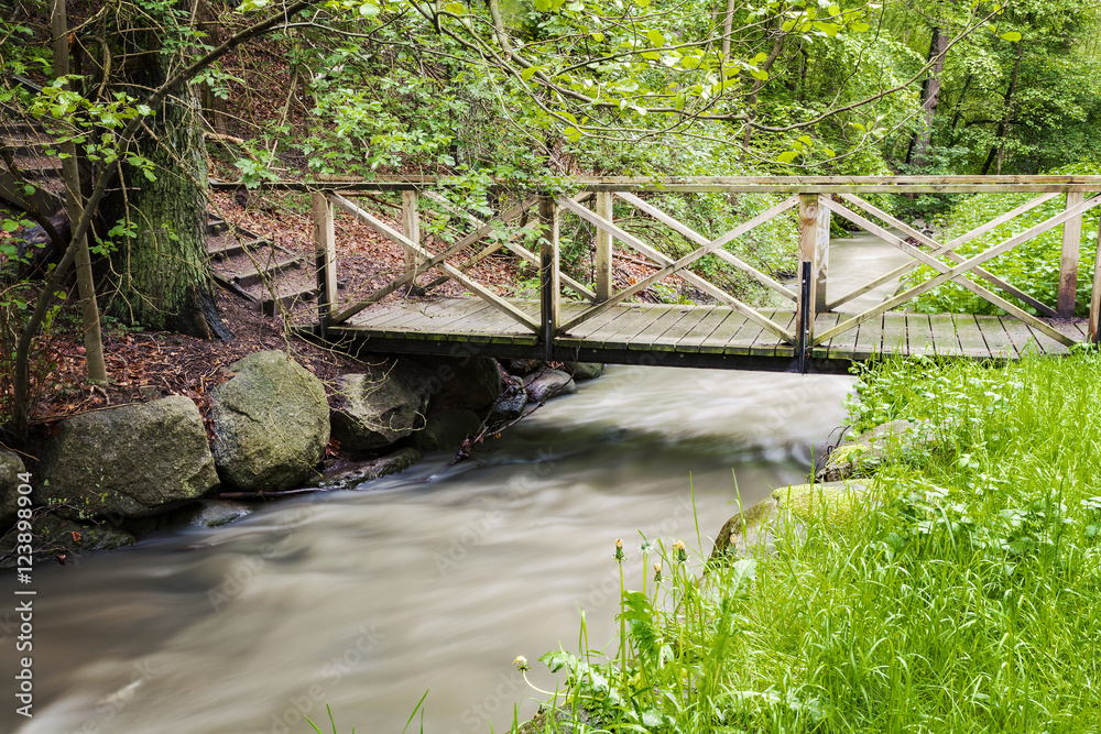 Fotografie Foot bridge over creek